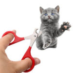 Cat nail clippers for Small Dog Cat Professional Puppy Claws Cutter Pet Nails Scissors Trimmer